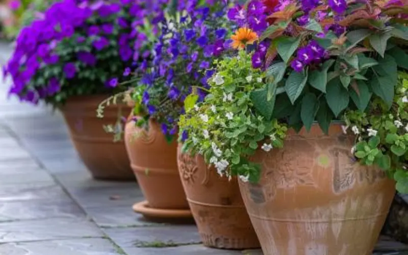 Maintenance Tips: Keeping Your Garden Gorgeous