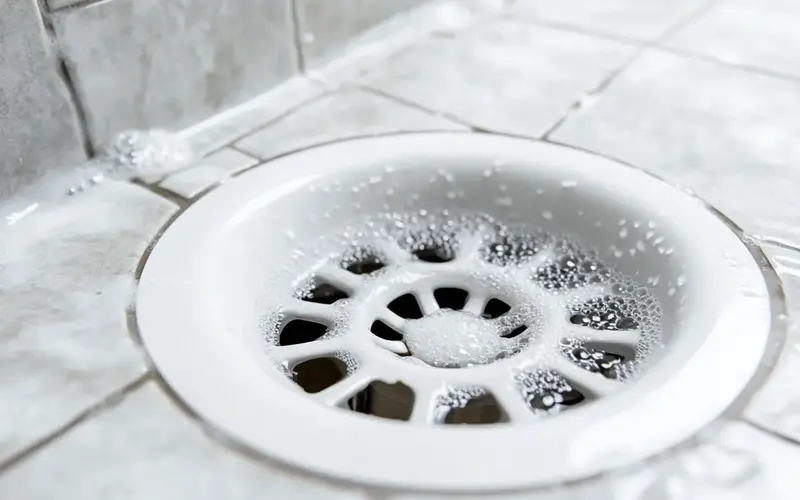 Clean Shower Drains: