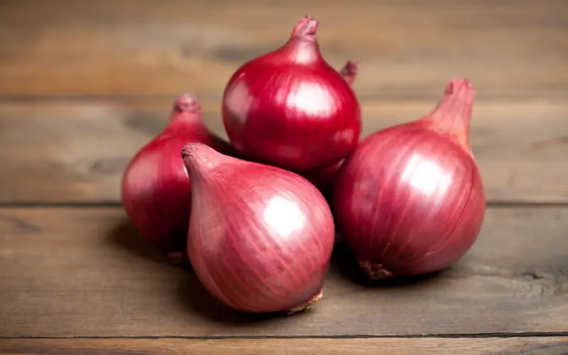 Onion: 