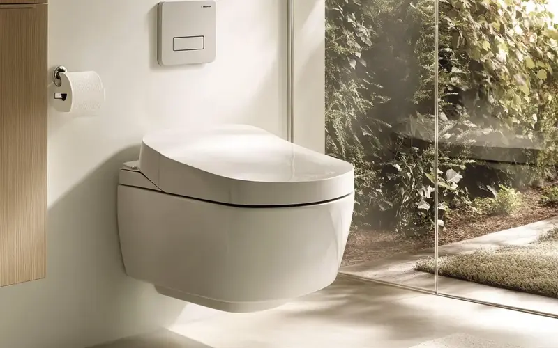 Install a Wall-Mounted Toilet: