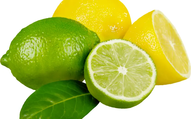 Lemon and Limes: 